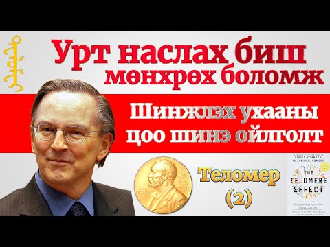 Видео: Теломерийг уртасгах хоол хүнс, дасгал хөдөөлгөн, эм бэлдмэл ба анхаарах зүйл Теломерийн нөлөө（2）