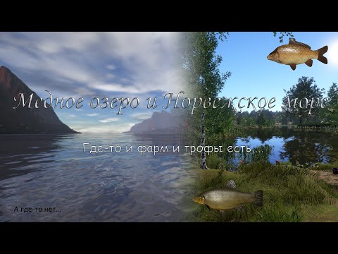 Видео: Медное озеро и Норвежское море. Русская рыбалка 4 ( где-то клюёт а где-то нет)