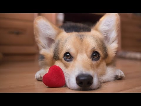 Видео: Любовь в психике. Утренние озарения с Натальей Зайцевой.