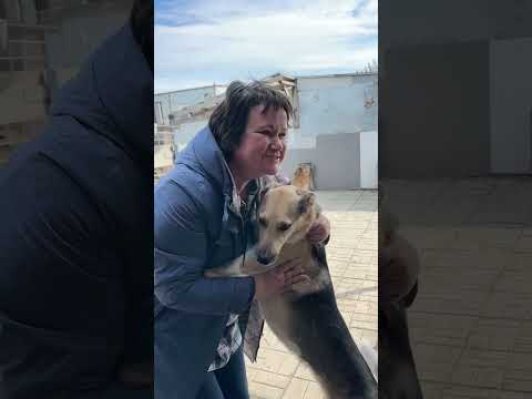 Видео: У нас гости 🤗