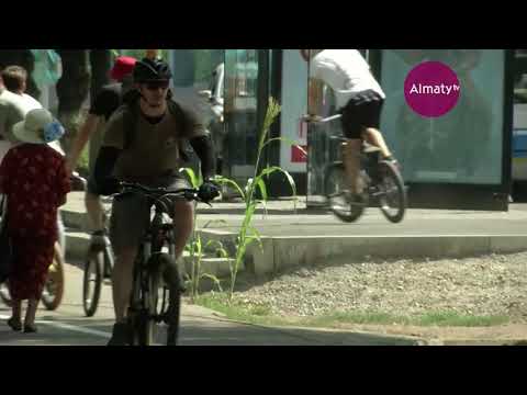 Видео: Алматинские истории: проспект Абая (23.09.17)