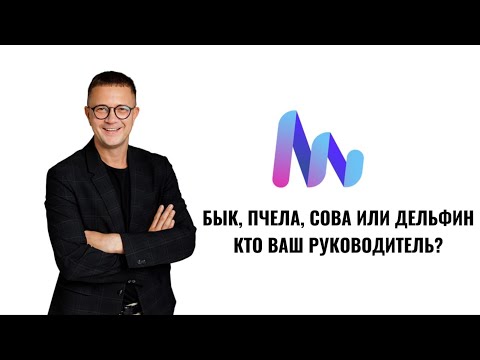 Видео: БЫК, ПЧЕЛА, СОВА И ДЕЛЬФИН: КТО ВАШ РУКОВОДИТЕЛЬ? 