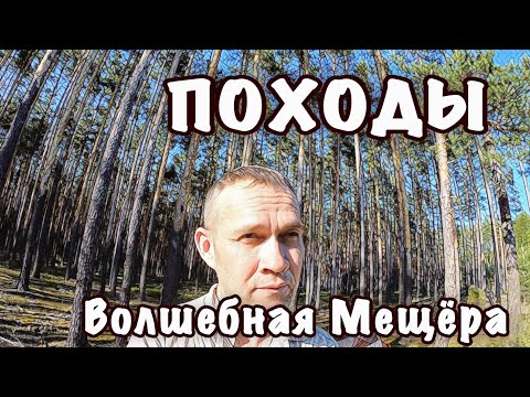 Видео: Поход по мещерским лесам.