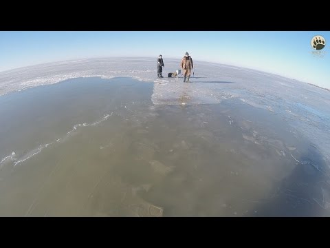 Видео: Семечки на Кременчугском водохранилище...bogomaz05