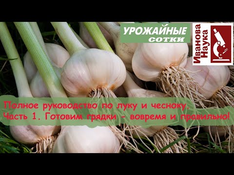 Видео: Хитрая посадка чеснока и лука для большого урожая - годится и для поздних сроков!