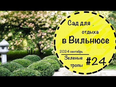 Видео: #24☘️Красивый сад в Вильнюсе☘️Гигантские гортензии☘️Японский сад☘️Почвопокровные растения ☘️Злаки