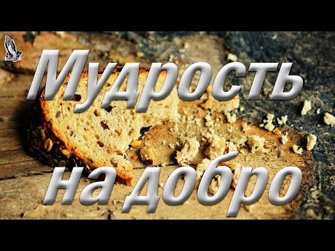 Видео: "Мудрость на добро" Самарин Д.В.