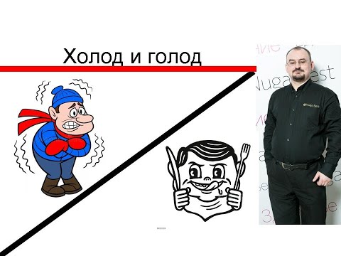 Видео: Холод и голод
