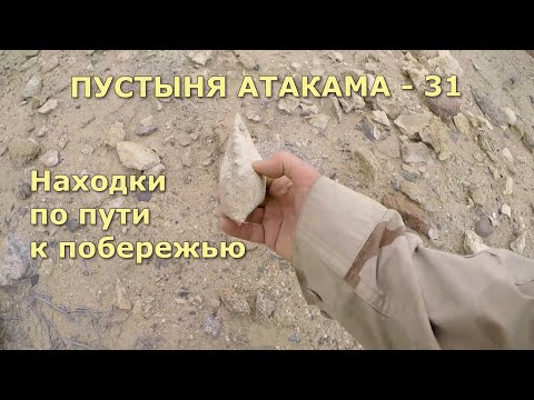 Видео: ПУСТЫНЯ АТАКАМА - 31 Находки по пути к побережью #пустыня #палеонтология #окаменелости#сталк#кактусы