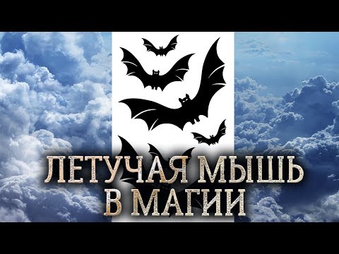 Видео: Летучая мышь. Тотем, дух и сущность летучей мыши в магии прямых порталов. (качества летучей мыши)