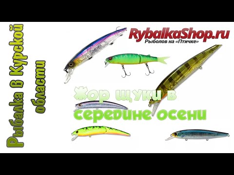 Видео: Лучшие крупные воблеры на щуку. На что я буду ловить в сезоне 2022