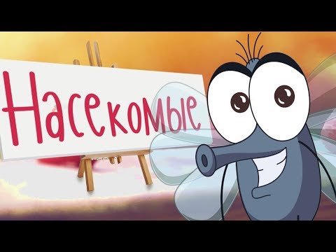 Видео: НАСЕКОМЫЕ для детей! Учим животных для самых маленьких на русском! Развивающие мультики про животных