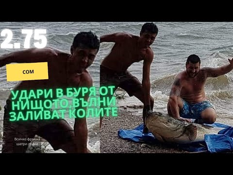 Видео: СОМ CATFISH 2.75m   by Misho