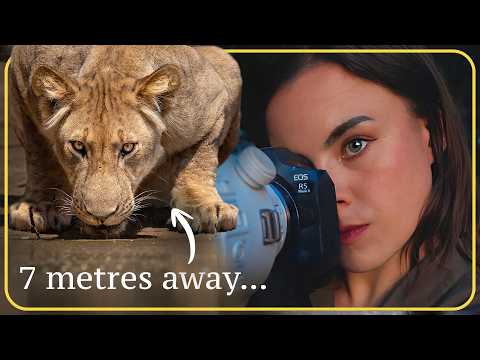 Видео: Я провел 6 часов в укрытии в одиночестве — они понятия не имели, что я там был