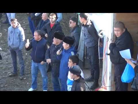 Видео: Көкпар Сайрам 29-02-2020