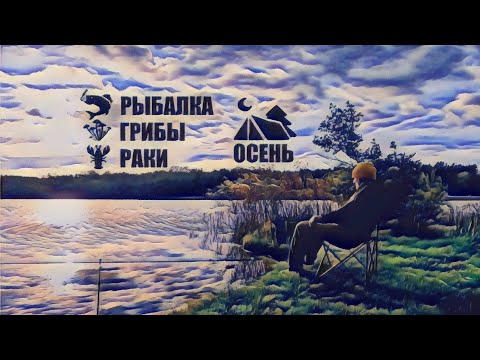 Видео: Октябрь🍂 .ОТДЫХ НА ПРИРОДЕ ПРОДОЛЖАЕТСЯ. Рыбалка 🎣. Раки 🦞. Собираем грибы 🍄. Camping
