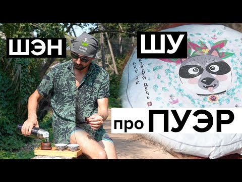 Видео: Про Пуэр. Обзор Шу и Шэн | Молодой и Выдержанный | Готовый и Сырой.