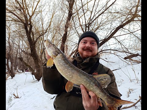 Видео: Первые успехи сезона 2024 Щука и приятные бонусы.