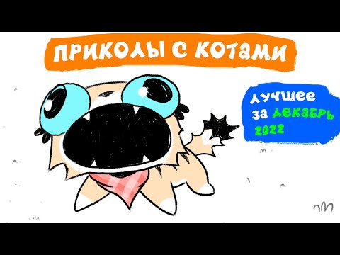 Видео: Приколы с котами. ЛУЧШЕЕ ЗА ДЕКАБРЬ 2022 | Мемозг