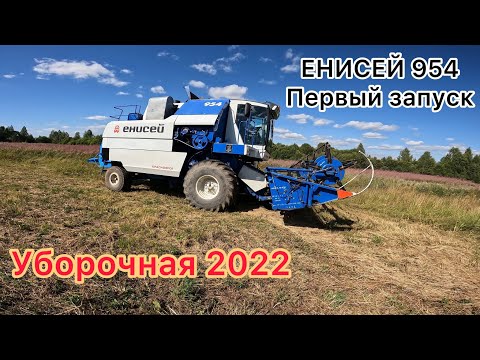 Видео: Уборка зерновых 2022 в нашем хозяйстве / Первый выезд зерноуборочного комбайна ЕНИСЕЙ 954
