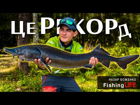 Видео: Риболовний День З Дивовижним УЛОВОМ - Нові РЕКОРДИ