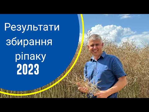 Видео: Результати збирання ріпаку озимого в 2023 році. Епізод №108