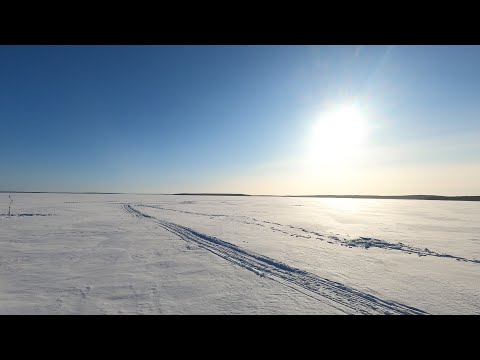Видео: Рыбалка на севере Карелии. Топозеро.