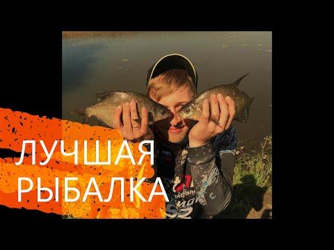 Видео: Рыбалка на Леща на ФИДЕР(пикер) на реке Пьяна. Поклёвки крупным планом