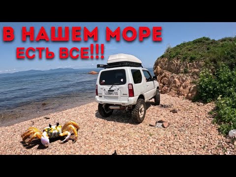 Видео: Самый лучший остров в Приморском крае-Владивосток-Русский остров#jimny#gopro#отдых#природа#море