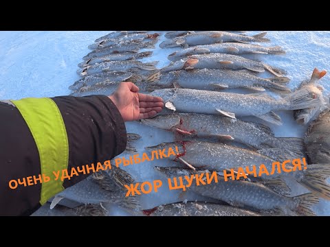 Видео: ЭТО ОН ОДИН ВСЁ ПОЙМАЛ?! МЕЧТА РЫБАКА! Рыбалка 2022