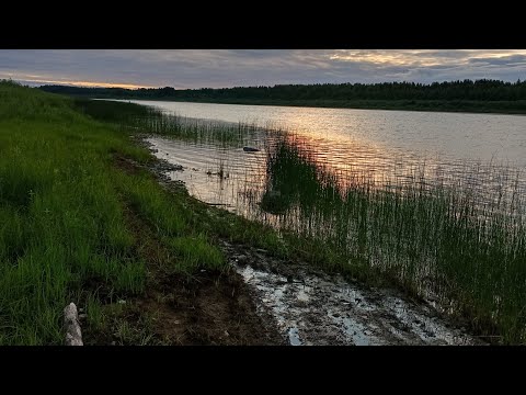 Видео: Рыбалка на реке Вага с ночёвкой .Клёв отличный!!!