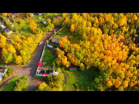 Видео: Никель осенью