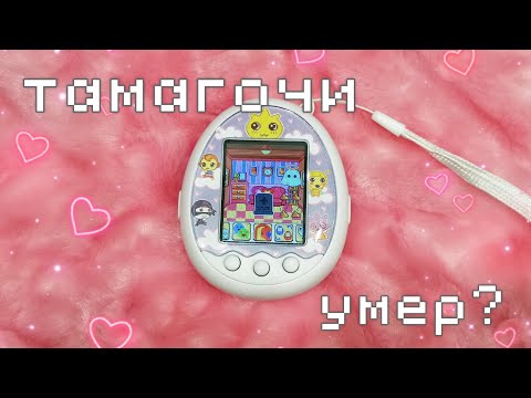 Видео: ✨ обзор тамагочи ✨ TAMAGOTCHI ✨ toumapet ✨