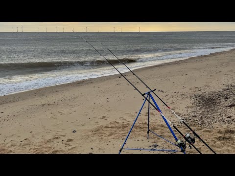 Видео: Рыбалка на пляже Норфолк, потерянный счёт и новые виды