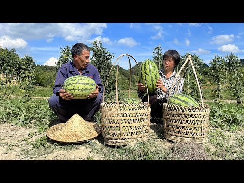 Видео: Арбуз красный и сладкий.