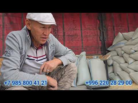 Видео: АРАПА  ОПТОМ БААДА  НООКАТ БАЗАРЫ 