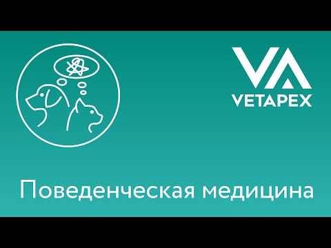 Видео: Людмила Коникова и Ульяна Яковлева "Прием"