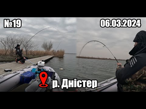 Видео: Ловлю Сазана на горох вперше у цьому році! Дністер. №19