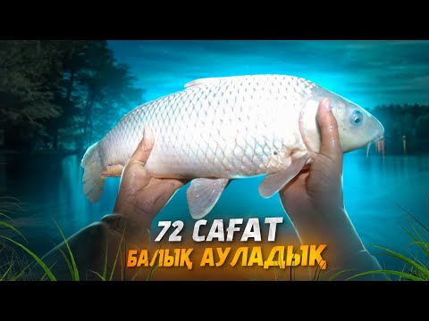 Видео: ДӘУ САЗАН ұстадым! Сазан аулау тәсілдер 3-ші бөлім. Табиғат аясында БЕШБАРМАҚ пен ҚУЫРДАҚ. 