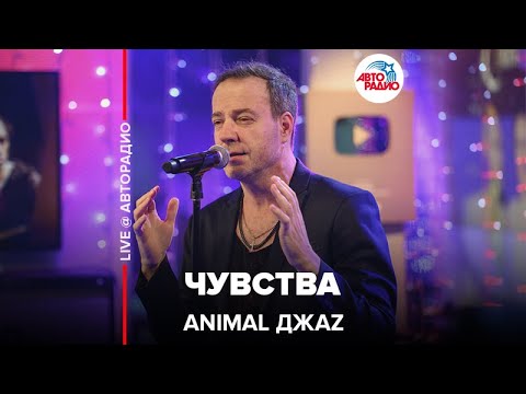 Видео: Animal ДжаZ - Чувства (LIVE @ Авторадио)