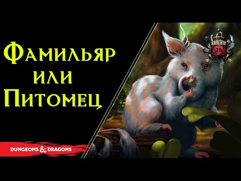 Видео: Фамильяр – волшебный питомец и помощник / DnD