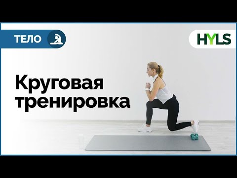 Видео: КРУГОВАЯ ТРЕНИРОВКА ДЛЯ НАЧИНАЮЩИХ | ФИТНЕС ДЛЯ НАЧИНАЮЩИХ | 20 МИН