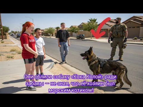 Видео: Они облили собаку «Кока Колой» ради забавы — не зная, что её хозяин был морским котиком!