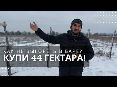 Видео: Ферма против выгорания: как совладелец рюмочной сохраняет себя на земле