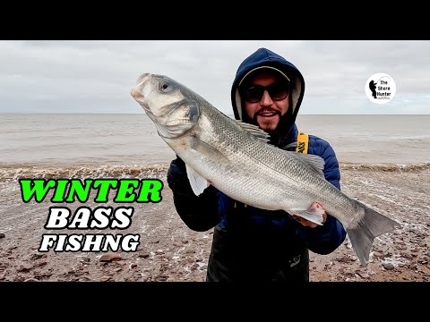 Видео: Как поймать большого окуня. Цель достигнута.