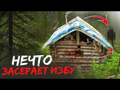 Видео: ВЫЯСНИЛ КТО ЗАСЕРАЕТ ИЗБЫ. КАК СОХРАНИТЬ ЗИМОВЬЁ?