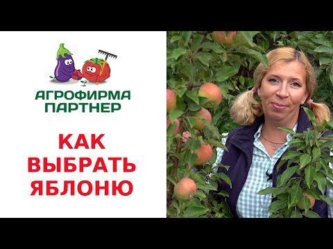 Видео: КАК ВЫБРАТЬ ЯБЛОНЮ