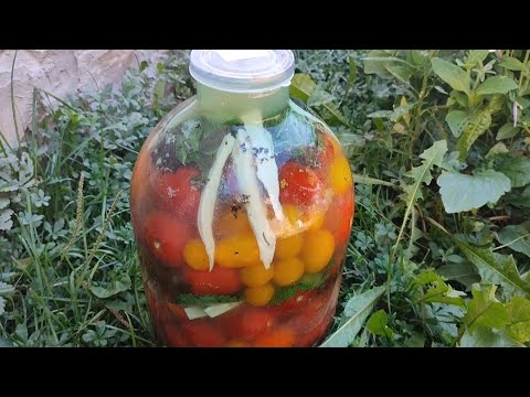 Видео: КВАШЕНІ ПОМІДОРИ НА ЗИМУ.Рецепти від Світлани 