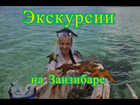 Видео: Экскурсии на Занзибаре. Танзания.