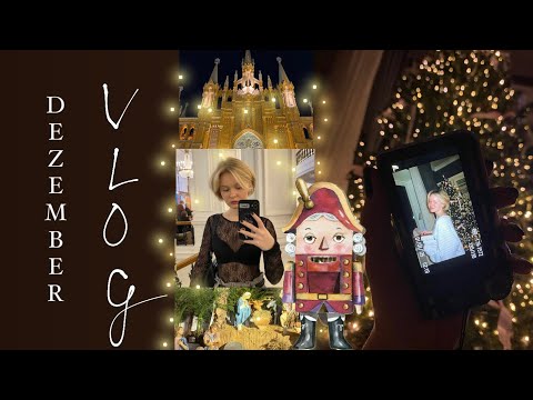 Видео: MSLU VLOG| Мой декабрь